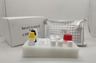 اختبار مصل البلازما التشخيصي Igg Elisa Kit لمستضد التهاب الكبد B الأساسي