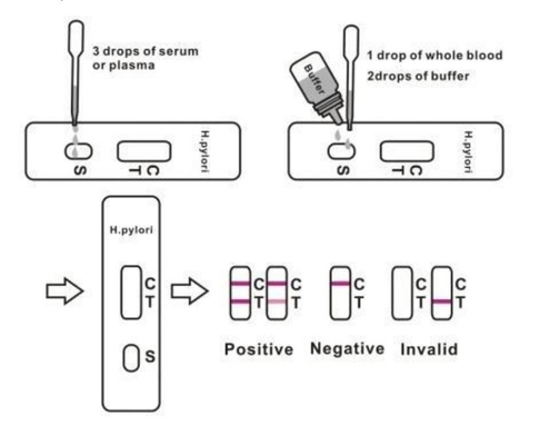 جهاز الكشف السريع عن الأجسام المضادة H Pylori Stool Test Kit كاسيت