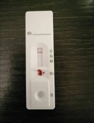 CE FSC FDA IgG IgM Colloidal Gold Rapid Test Kit لجسم مضاد COVID19