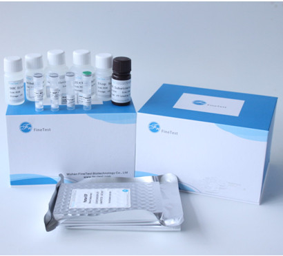 مجموعة أدوات الكشف البيوكيميائية HCV Elisa Human 96T Elisa Assay Kit