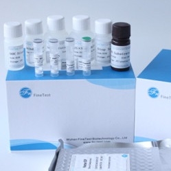 طقم إليسا بشري معتمد من FSC Human Ifnw1 Interferon Omega-1